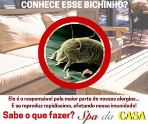 Limpeza de colchões e camas box